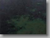 Ohne Titel